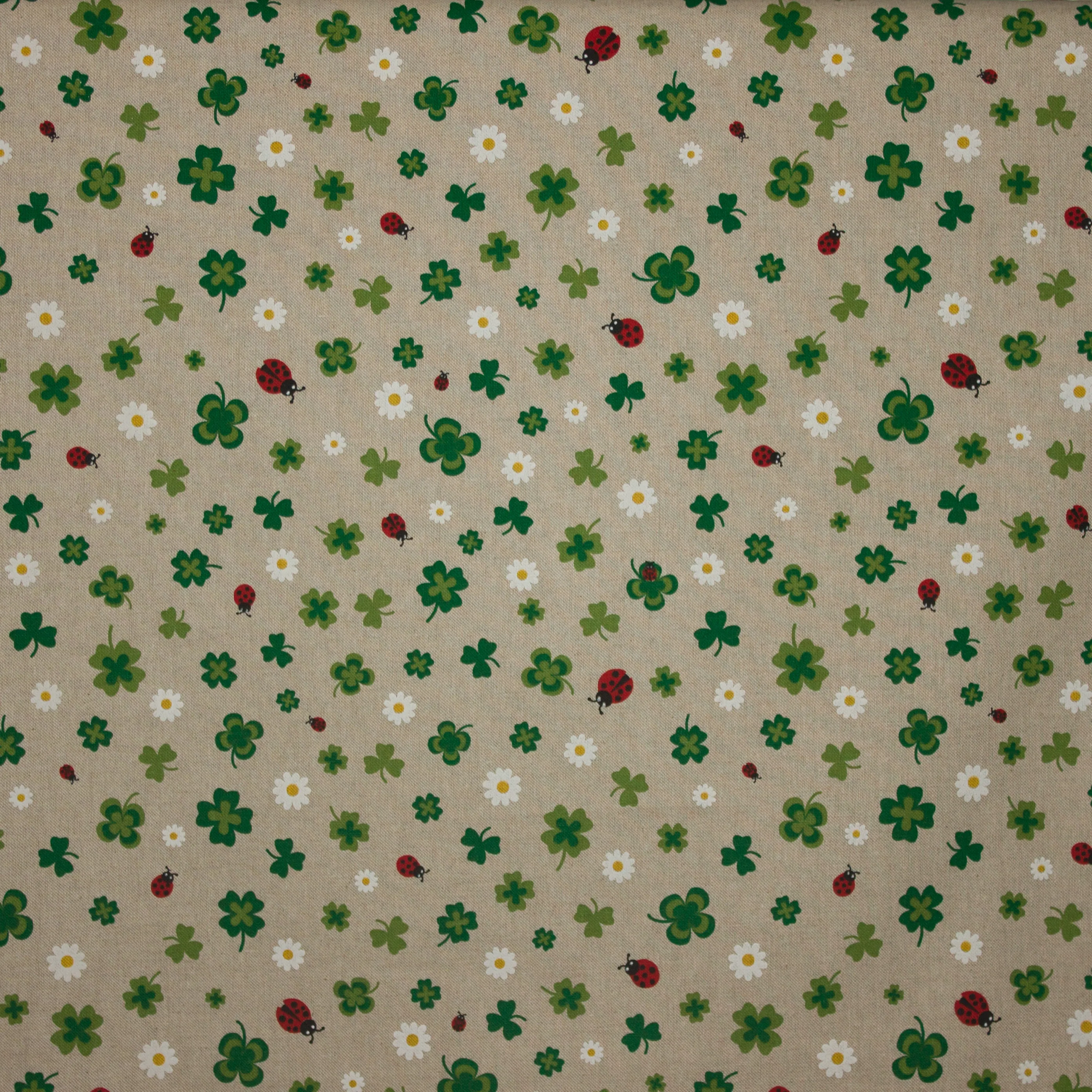 canvas met klavertjes en lieveheersbeestjes
